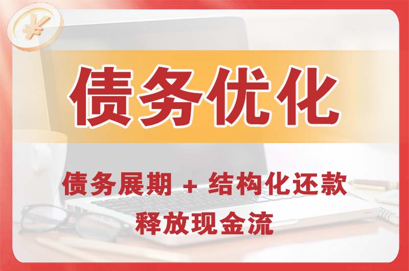 贵定债务优化