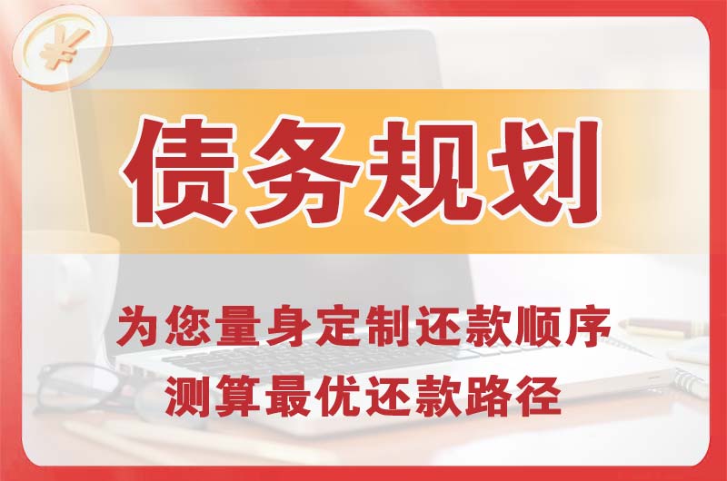 贵定债务规划